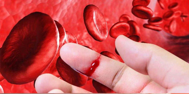 17. April: Welt-Hämophilie-Tag