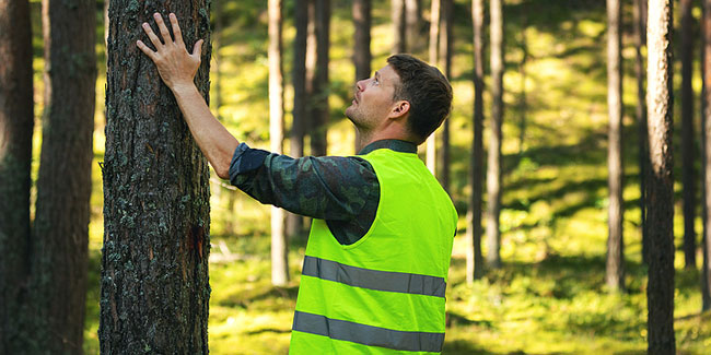 7. Juli - Tag der Arbeit im Naturschutzgebiet