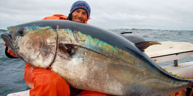 2. Mai: Welt-Thunfisch-Tag