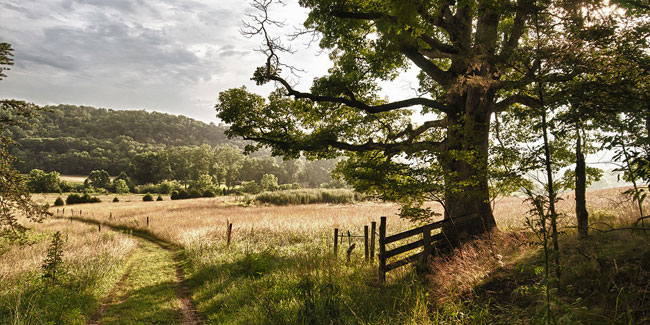1. Juni: Sommeranfang