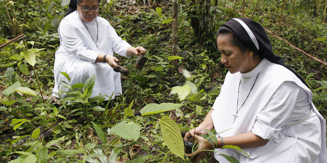 19. Juni: Fest des Waldes