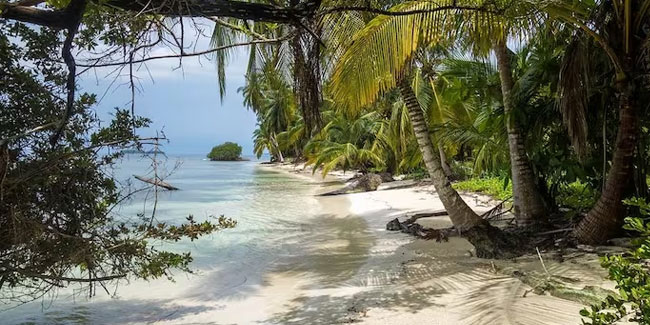 29. Juni: Internationaler Tag der Tropen