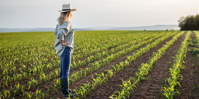 19. Juni: Tag des Landwirts