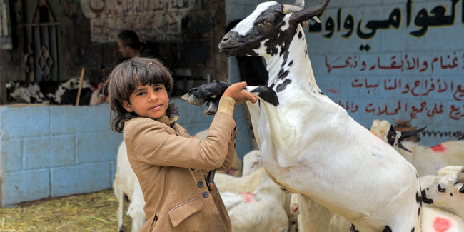 26. Mai: Eid al-Adha