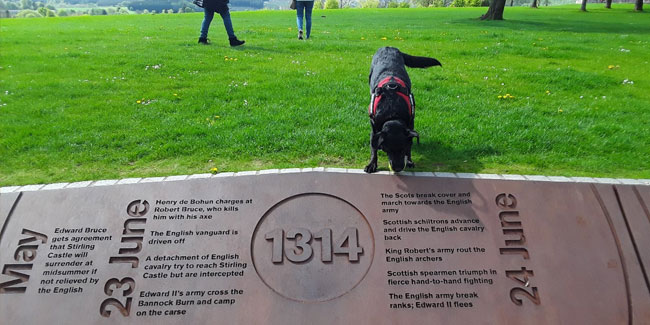 24. Juni: Bannockburn-Tag