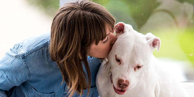 1. Mai: Woche der Tierliebe - Be Kind to Animals