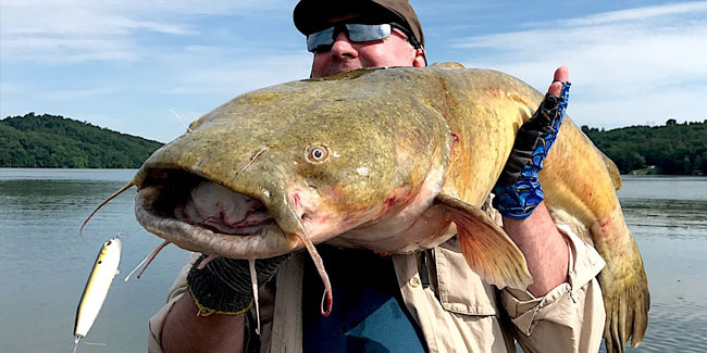 25. Juni: Nationaler Welstag