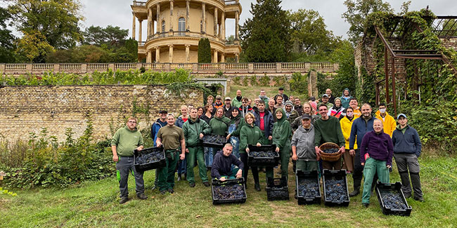 10. Juli: Königliches Weinfest Potsdam