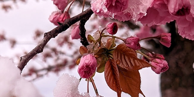 4. Dezember - Barbaratag