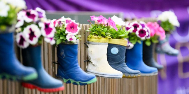 29. Oktober: Internationaler Tag der Betreuung und Unterstützung