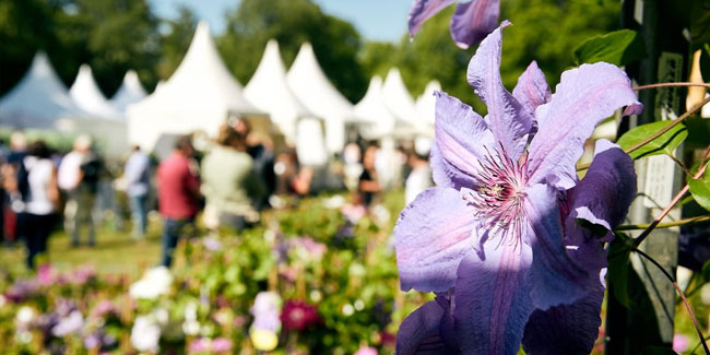 22. Mai: Gartenfestival im Georgengarten