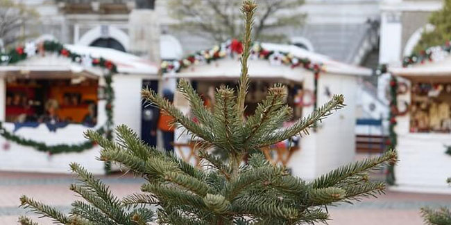 29. November - Adventsmarkt in Hartenberg-Münchfeld