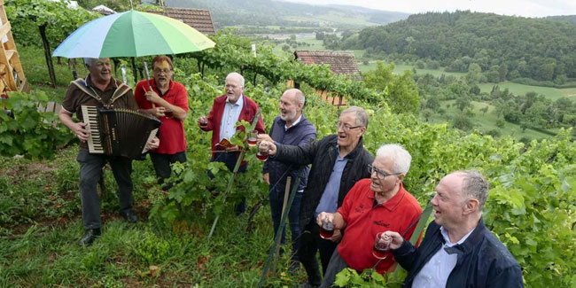 31. Juli: Eltinger Wengerterfest