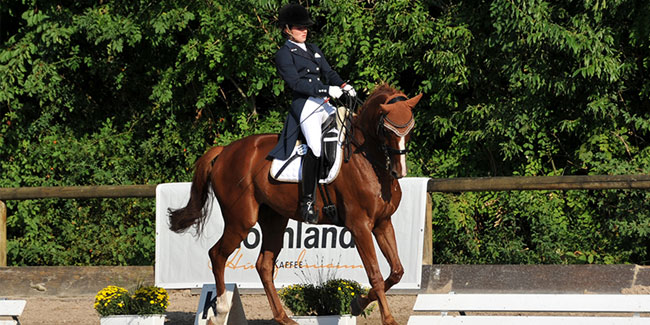 11. September: Leonberger Reiterspiele