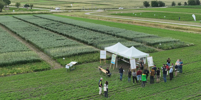 19. Juni: Öko-Feldtag
