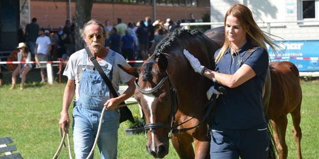9. Juli - Pferdemarkt Fritzlar