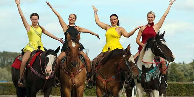 3. September: Pferdemarkt Havelberg