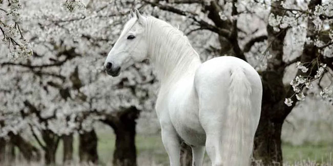 13. Januar: Portfoliotag im Januar