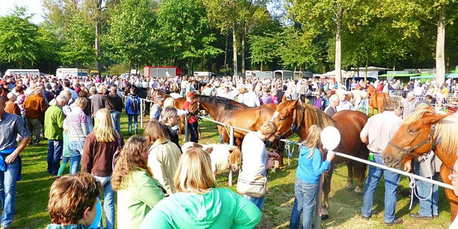 11. September: Mariä-Geburts-Markt Telgte