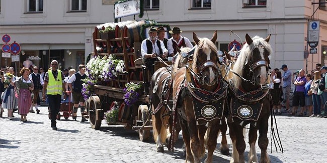 8. Mai: Maidult Regensburg