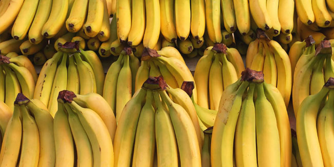 15. April: Internationaler Tag der Banane